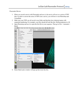 Leclair Lab Fluorender Protocol 2014