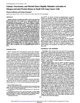 Galanin, Neurotensin, and Phorbol Esters Rapidly Stimulate Activation of Mitogen-Activated Protein Kinase in Small Cell Lung Cancer Cells