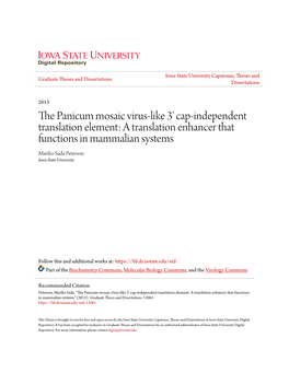 The Panicum Mosaic Virus-Like 3' Cap-Independent Translation Element