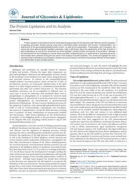 The Protein Lipidation and Its Analysis