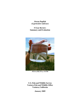 Owens Pupfish (Cyprinodon Radiosus) 5-Year Review