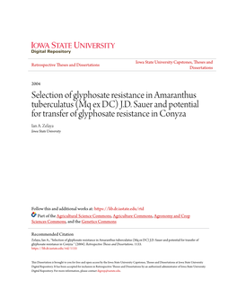 Selection of Glyphosate Resistance in Amaranthus Tuberculatus (Mq Ex DC) J.D