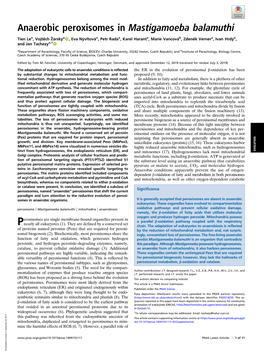 Anaerobic Peroxisomes in Mastigamoeba Balamuthi