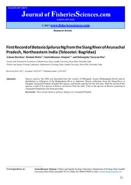 First Record of Batasio Spilurus Ng from the Siang River of Arunachal Pradesh, Northeastern India (Teleostei: Bagridae)