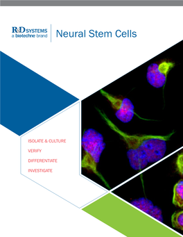 Neural Stem Cells