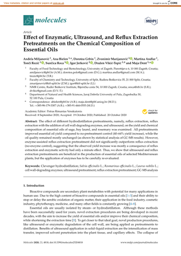 Effect of Enzymatic, Ultrasound, and Reflux Extraction Pretreatments On