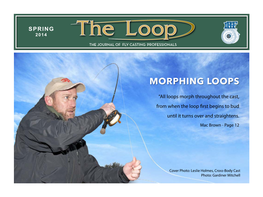 Morphing Loops