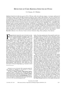 Detection of Corn Kernels Infected by Fungi