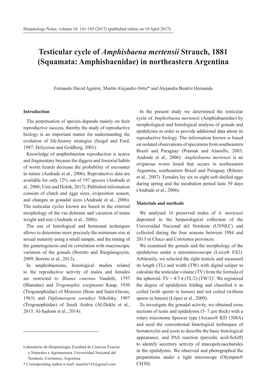 Testicular Cycle of Amphisbaena Mertensii Strauch, 1881 (Squamata: Amphisbaenidae) in Northeastern Argentina