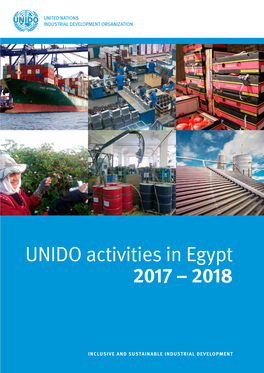 UNIDO Activities in Egypt 2017 – 2018