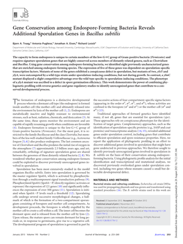 Gene Conservation Among Endospore-Forming Bacteria Reveals Additional Sporulation Genes in Bacillus Subtilis