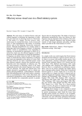 Olfactory Versus Visual Cues in a Floral Mimicry System