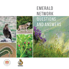 Emerald Network Questions and Answers