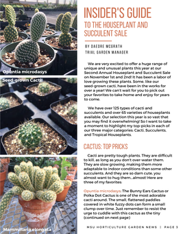 Insider's Guide to the Houseplant and Succulent Sale