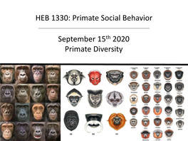 Download HEB1330 Primate Diversity.Pdf