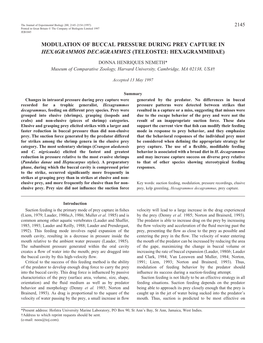 Modulation of Buccal Pressure During Prey Capture in Hexagrammos Decagrammus (Teleostei: Hexagrammidae)