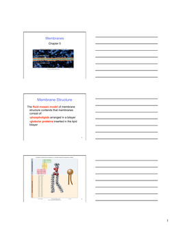 Membrane Structure