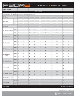 P90X3 Workout Sheets