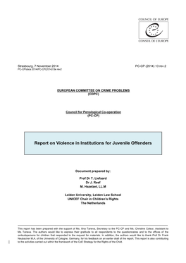 Report on Violence in Institutions for Juvenile Offenders
