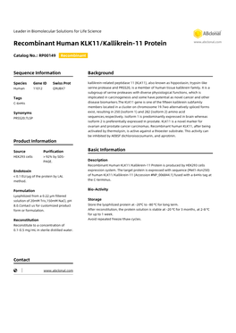 Recombinant Human KLK11/Kallikrein-11 Protein