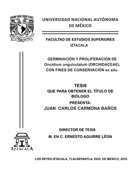 GERMINACIÓN Y PROLIFERACIÓN DE Oncidium Unguiculatum (ORCHIDACEAE), CON FINES DE CONSERVACIÓN Ex Situ