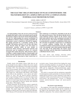 Electric Organ Discharge of Pulse Gymnotiforms: the Transformation of a Simple Impulse Into a Complex Spatio- Temporal Electromotor Pattern