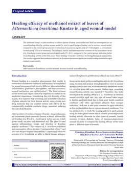 Healing Efficacy of Methanol Extract of Leaves of Alternanthera Brasiliana