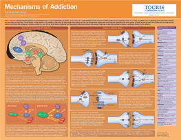 Mechanisms of Addiction