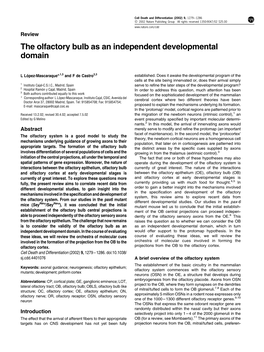 The Olfactory Bulb As an Independent Developmental Domain