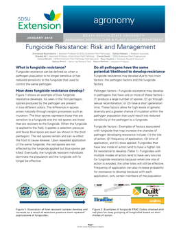 Fungicide Resistance: Risk and Management