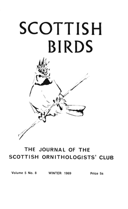 Scottish Birds