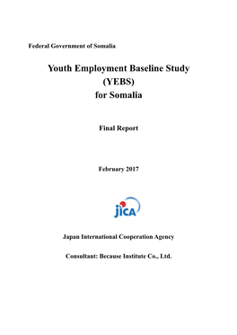 Youth Employment Baseline Study (YEBS) for Somalia