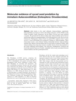 Molecular Evidence of Cycad Seed Predation by Immature Aulacoscelidinae (Coleoptera: Orsodacnidae)