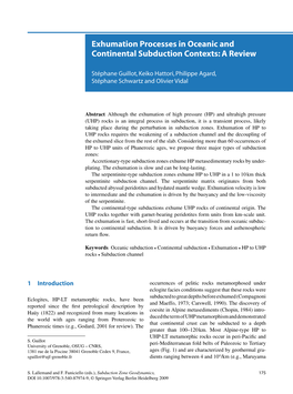 Exhumation Processes in Oceanic and Continental Subduction Contexts: a Review