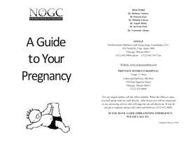 NWOB Preg Book