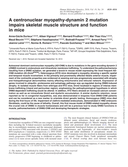 A Centronuclear Myopathy-Dynamin 2 Mutation Impairs Skeletal Muscle Structure and Function in Mice