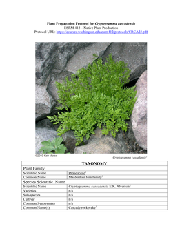 TAXONOMY Plant Family Species Scientific Name