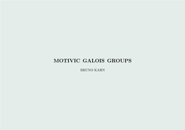 Motivic Galois Groups