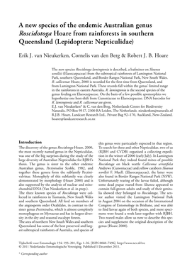 A New Species of the Endemic Australian Genus Roscidotoga Hoare from Rainforests in Southern Queensland (Lepidoptera: Nepticulidae)