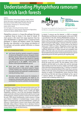 Understandingphytophthora Ramorum in Irish Larch Forests