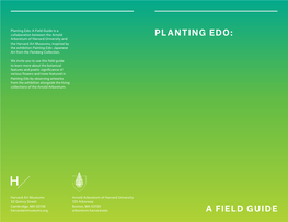 Planting Edo: a Field Guide