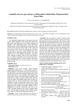 Camptibia Obscura, Gen. and Sp. N. (Heteroptera: Reduviidae: Harpactorinae) from China