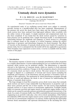 Unsteady Shock Wave Dynamics