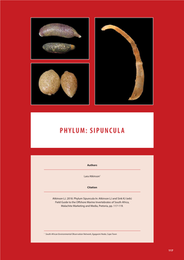 Phylum: Sipuncula