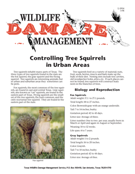 Controlling Tree Squirrels in Urban Areas