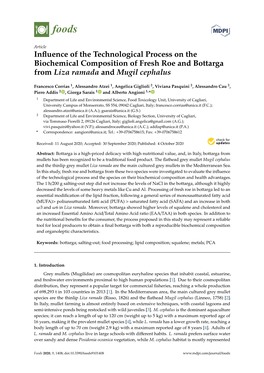 Influence of the Technological Process on the Biochemical