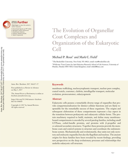 The Evolution of Organellar Coat Complexes and Organization of the Eukaryotic Cell Michael P