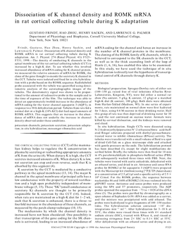 Dissociation of K Channel Density and ROMK Mrna in Rat Cortical Collecting Tubule During K Adaptation