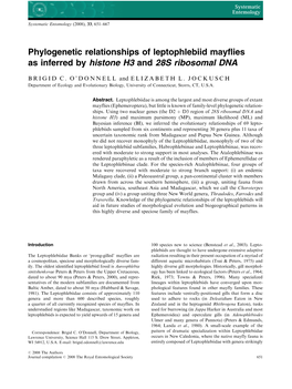 Phylogenetic Relationships of Leptophlebiid Mayflies As Inferred by Histone H3 and 28S Ribosomal DNA