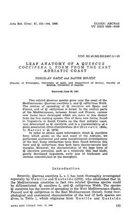 Leaf Anatomy of a Quercus Coccifera L. Form from the East Adriatic Coast